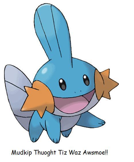 MudkipAwsome.jpg