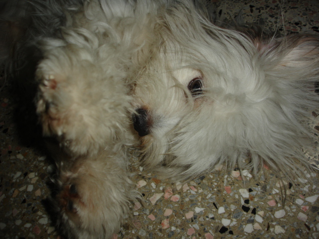 DSC07715.jpg