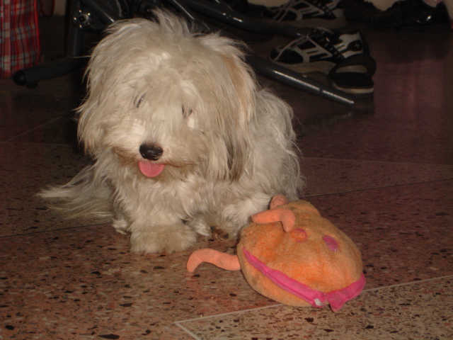 DSC07725.jpg