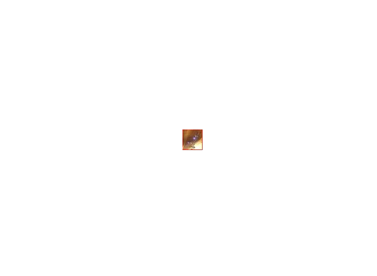 Geen titel - 1.gif