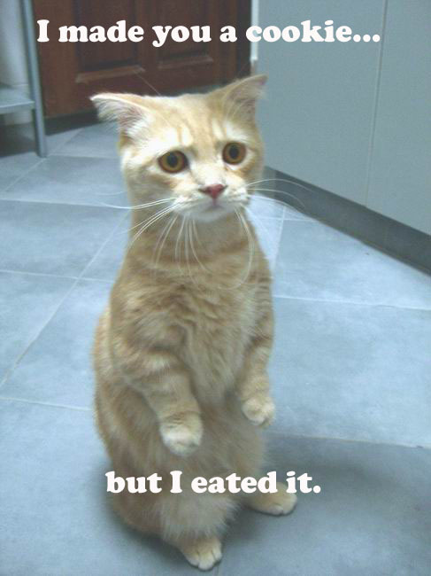 Made u a cookie but eated it.jpg