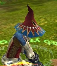 hat.jpg
