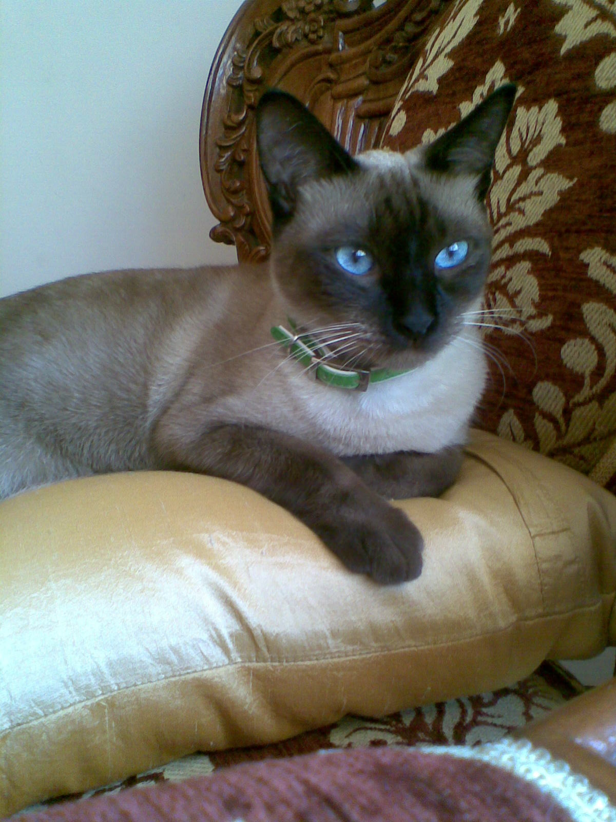 Image000.jpg