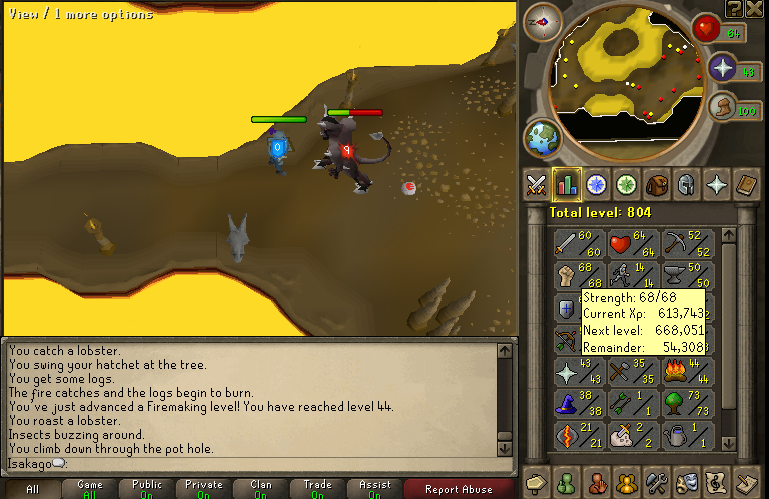 rs1.PNG