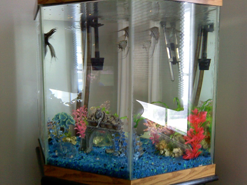 45g Overall Pic.jpg