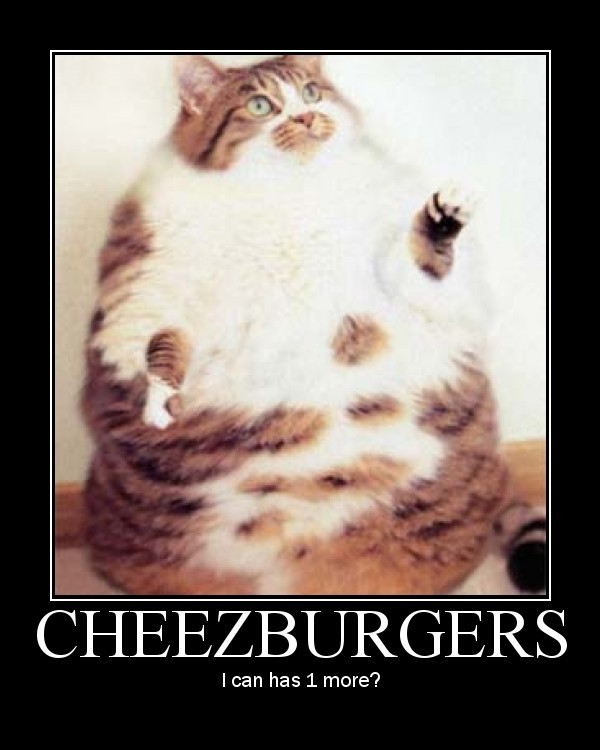 cheeseburgers.jpg
